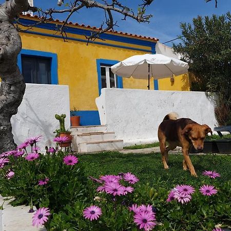 Villa Monte Da Ti Luzia Distrikt Distrikt Faro Exterior foto