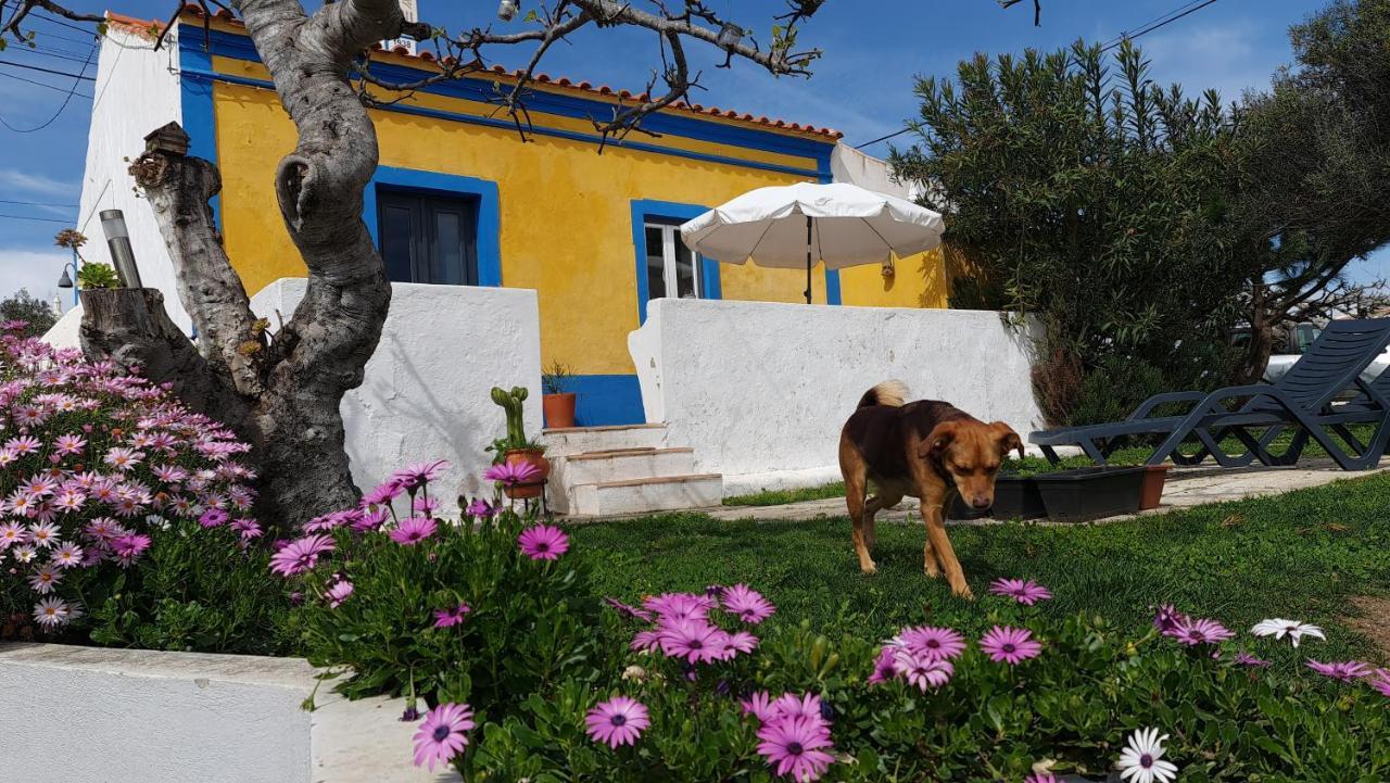 Villa Monte Da Ti Luzia Distrikt Distrikt Faro Exterior foto