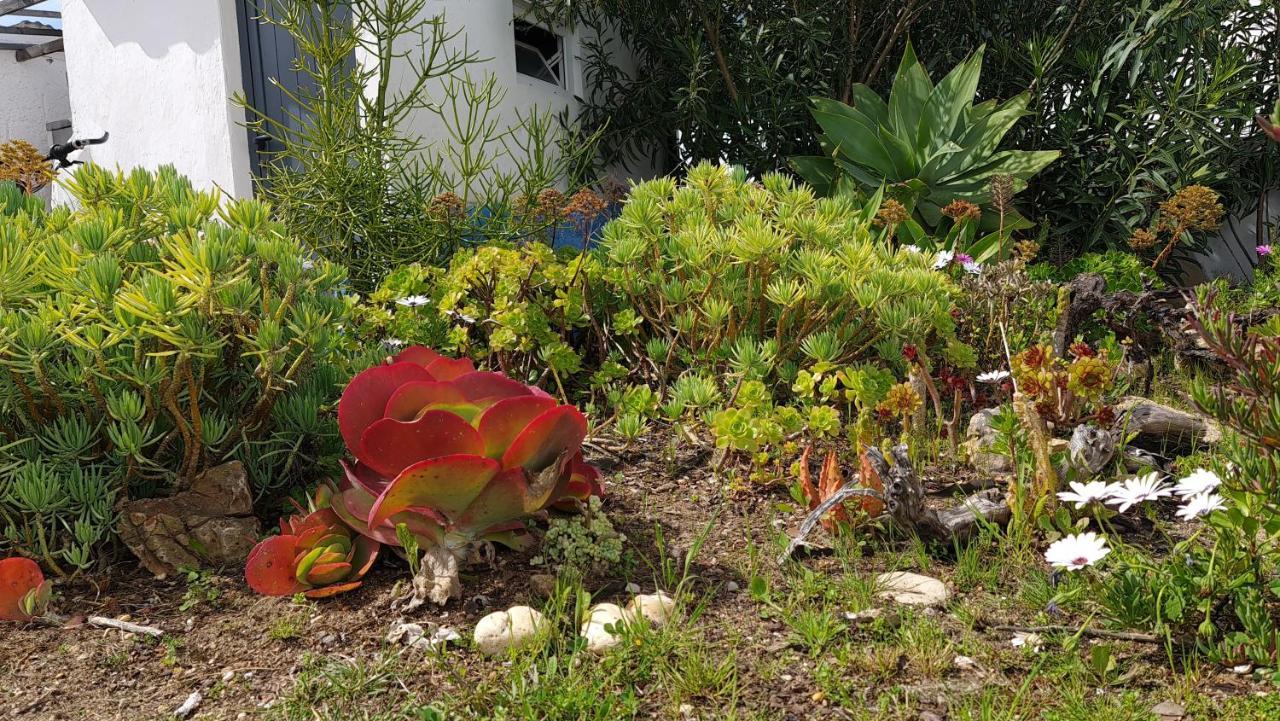 Villa Monte Da Ti Luzia Distrikt Distrikt Faro Exterior foto
